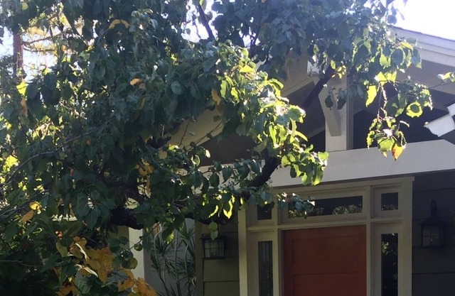 Entire 3 bedroom/3 bath home in La Canada Flintridge