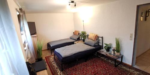 Erdgeschoss Ferienwohnung mit privater Küche, Badezimmer und WC, inkl Gratis Frühstück, Privat Parkplatz und WiFi