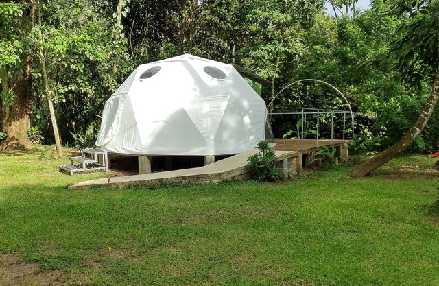 Escapada a Tortuguero