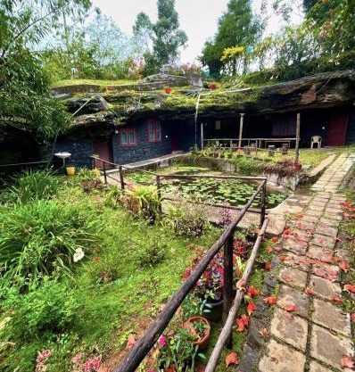 Escape Natural Farm Stay - Cave