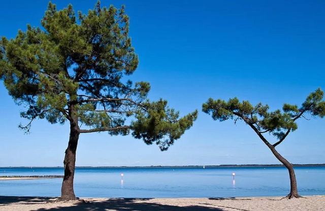 Escape to Arcachon Bay: Luxurious Retreat and Exciting Adventures