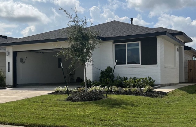 Escape to Paradise Oasis near The Medical Center
