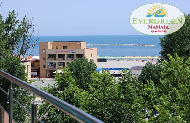 Evergreen Vlas Mamaia Sud