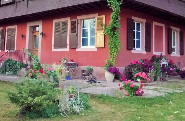 Exceptional site on the edge of the forest, between mountains and countryside