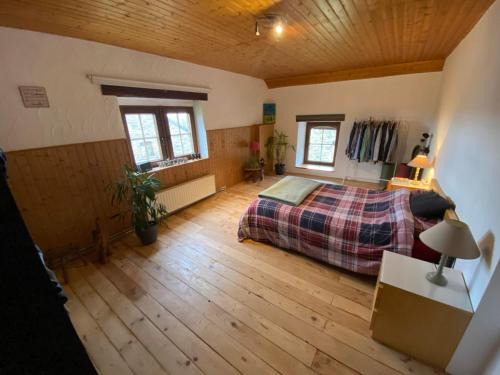 F1 Room 2 - Cour-toise
