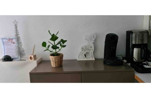 F2 5min from the station, duplex, quiet, 47m2