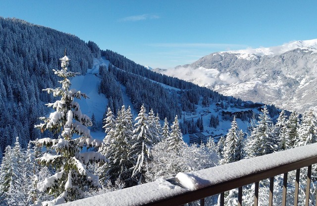 Fabulous 2 Bedroom Ski In/Out Apartment with West facing balcony