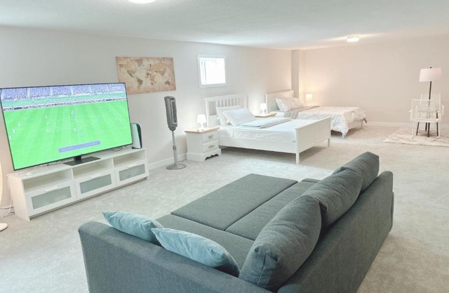 Fabulous basement