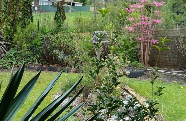 Fairy Springs - fully stocked 2 bedroom Cottage **Free WiFi**