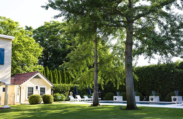 Fairy Tale Guest Cottage in Magic Garden by Pool