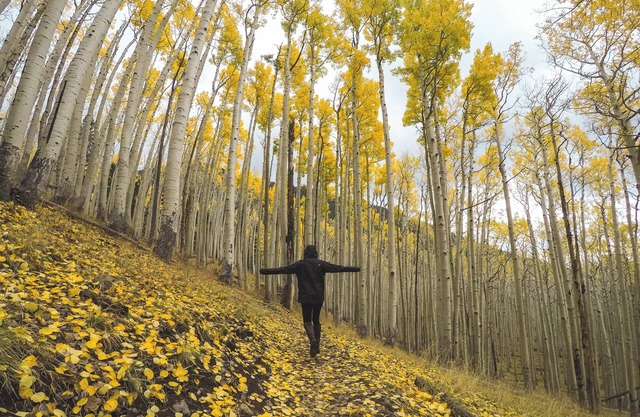 Fall Colors are Here! Your Autumn Escape Hot Tub Trails & Downtown Walks
