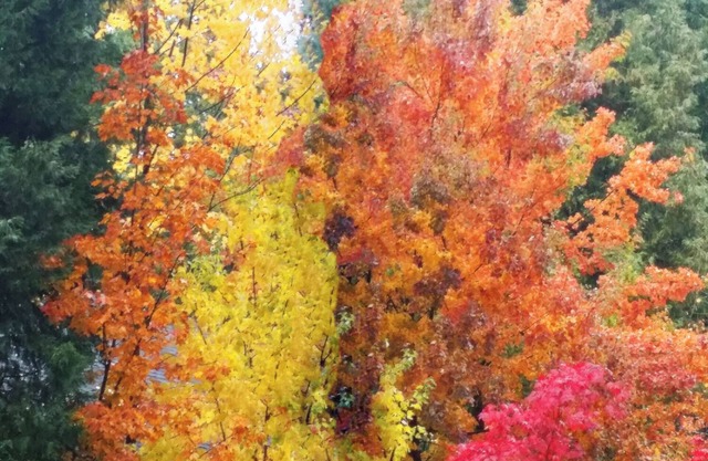 Fall is Calling! Lake Almanor Family Vacation Home for the Thanksgiving Holiday.