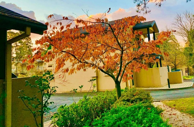 Falls Mountain Retreat