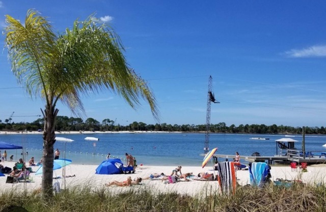 Family & dog friendly with pond, shaded trees, close by parks, W/D, AC and Wifi