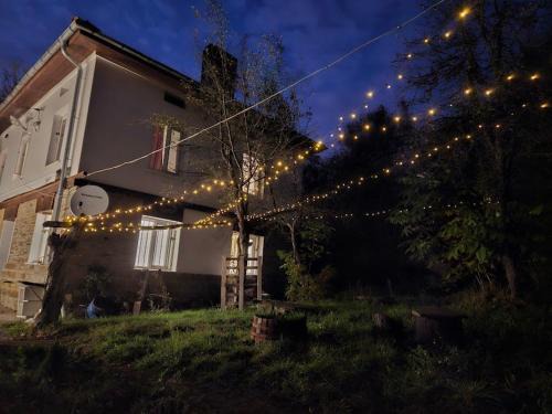 FAMILY GUEST HOUSE Nikola