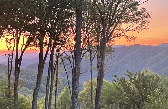 Family & Pet Friendly, Amazing Mtn Views & Sunrises- 4WD/AWD REQUIRED