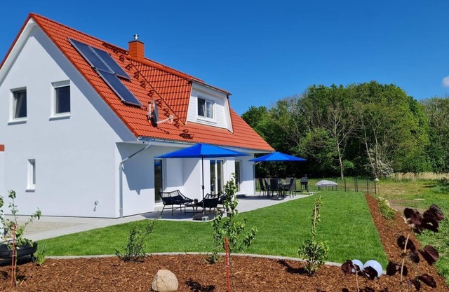 Ferienhaus Springborn