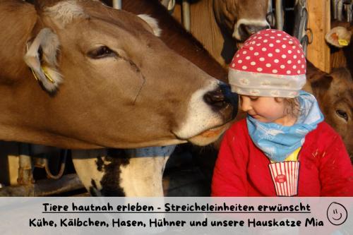 Ferienhof Herz