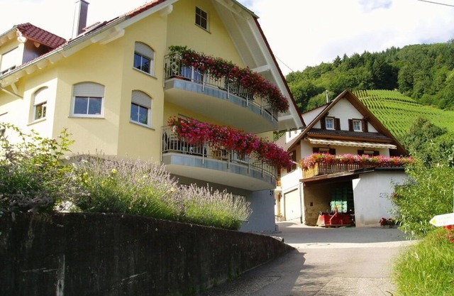 Ferienhof Mayer - Apartment 4