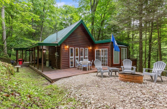 Fern Gulley Cabin with Hot Tub, Pet Friendly, near DBBB/Hollerwood