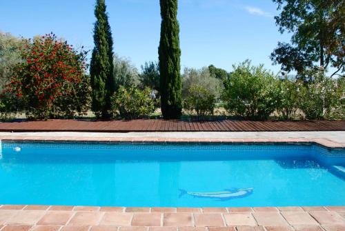Finca Lavinia