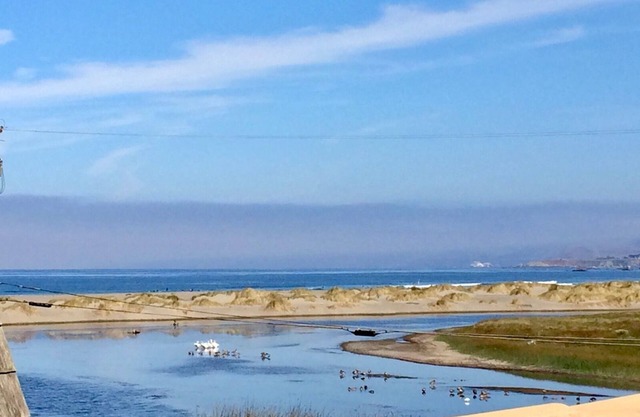 Fishermans Cottage~Magical Irish Fishing Cottage in Bodega Bay!Walk to Beach