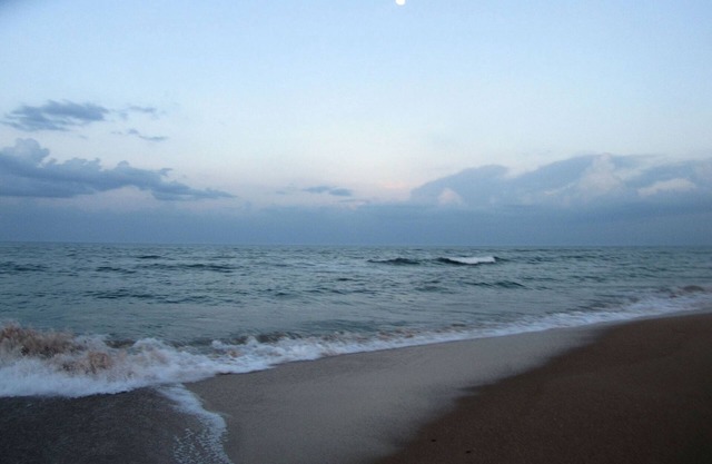 Flagler Beach Newly Renovated Oceanfront Condominium w/Heated Pool