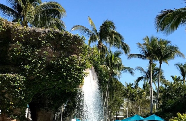 Florida Hyatt Coconut Cove resort n2 Bedroom