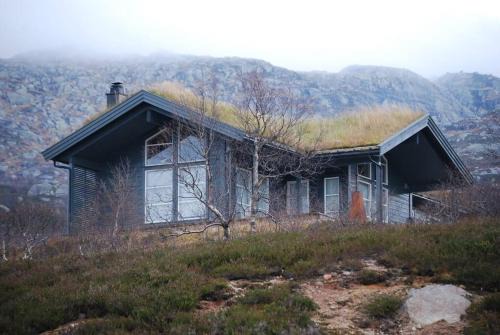 Flott hytte på Smølåsen Tjørhom