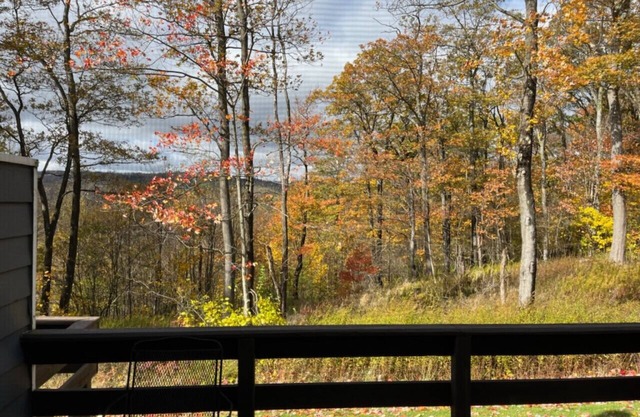 🍁 Forest View | Family Friendly Autumn Retreat Overlooking Forbes Forest 🌲🔥