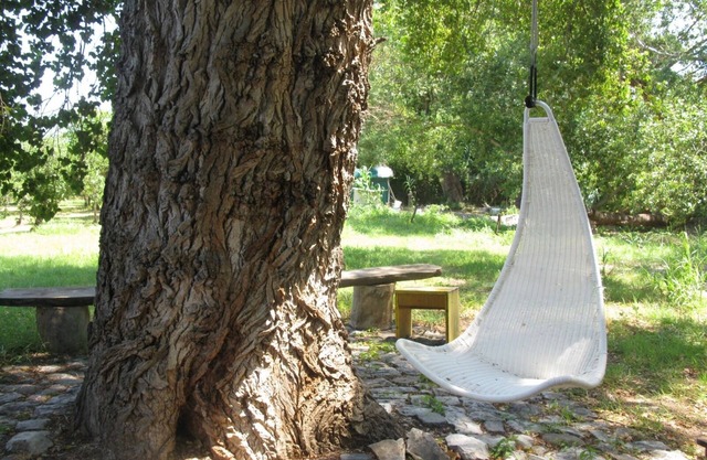 Former farmers' hut in the shade of century-old poplars