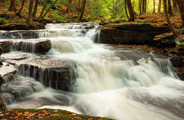 FOUR SEASON Catskills Home - Secluded & Spacious w/Secret Waterfall