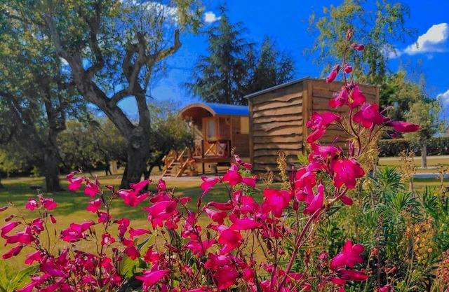 Unique caravan experience in the heart of Berry