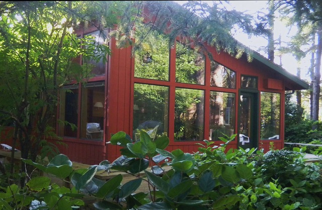 Free 3rd Night thru May! Walk Miles Of Quiet, Pristine Beach... Pet Friendly!