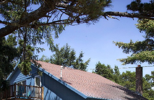 Free 3rd Night thru May! Walk Miles Of Quiet, Pristine Beach... Pet Friendly!