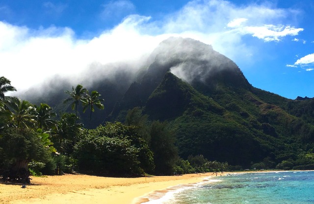 Fresh, Bright, New! Near Hanalei. Walk to the ocean in minutes.
