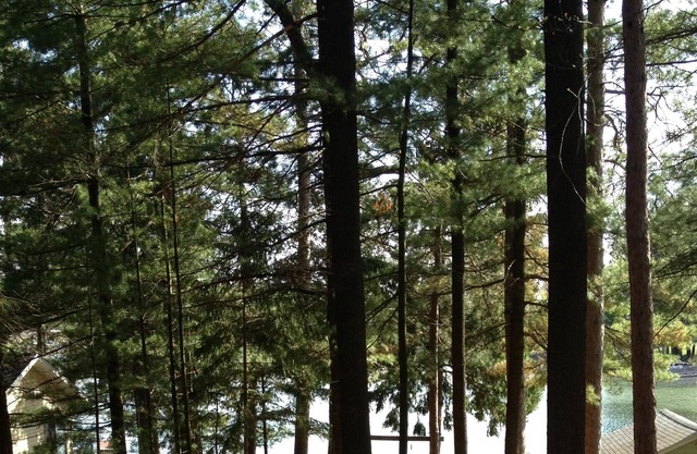 Fully remodeled cottage on Waupaca Chain O' Lakes - Limekiln Lake