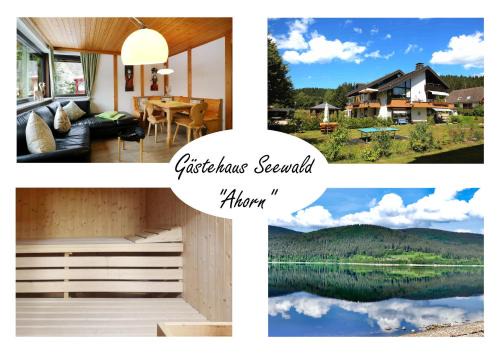 Gästehaus Seewald- Ferienwohnung 1 "Ahorn", Schluchsee, Blasiwald