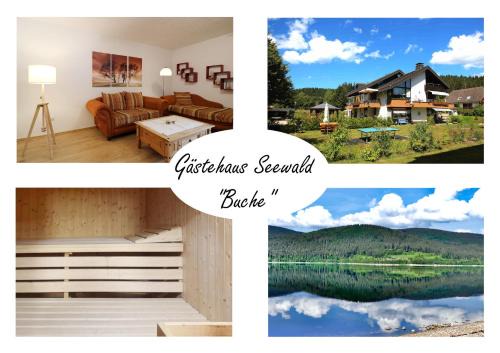Gästehaus Seewald- Ferienwohnung 5 "Buche", Schluchsee, Blasiwald