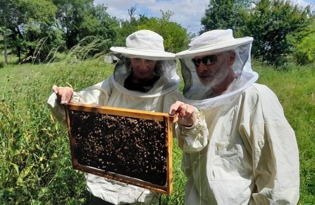 Gîte de Ferme Vigneronne Avec Ateliers Découvertes Apiculture