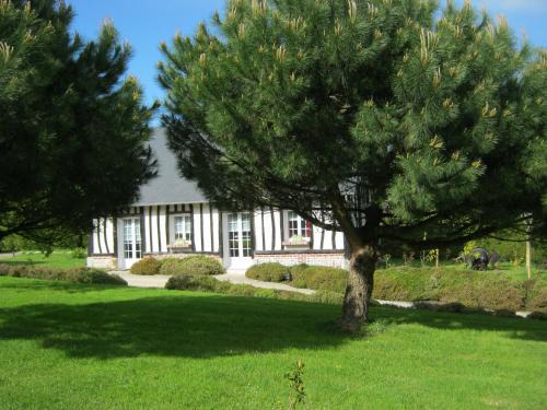 Gîte des Pins Penchés