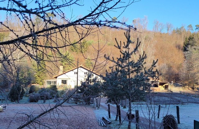 Gîte mon Chez moi Avec Ânes et Chevaux Pour Randonner en Forêt