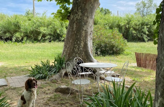 Gîte Pour 2 à 6 Personnes en Plein Coeur de la Camargue