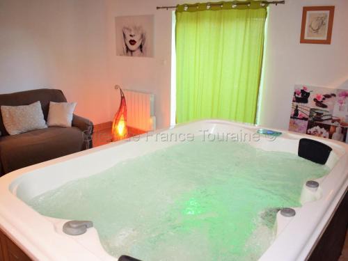 Gîte relax avec spa privé en Touraine du Sud - FR-1-381-84