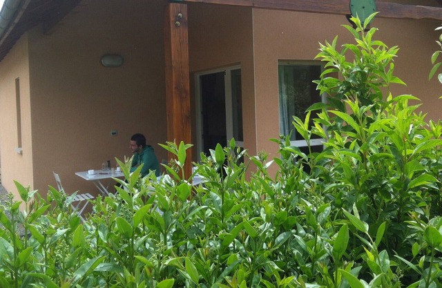 Gîtes 6 people of 37 m² including 7 m² of covered terrace with swimming pool