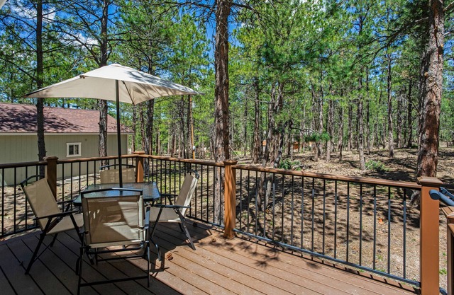GameRoom /FirePit /Near Ford Amphitheatre & AirForce Academy