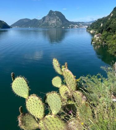 Gandria Stanza con Cucina e Bagno Privato