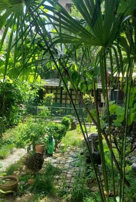 Gardens in Vake, Tbilisi