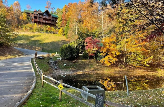 "Geaux Bear Naked" 4/4 Cabin W/Game Room and unobstructed Views!