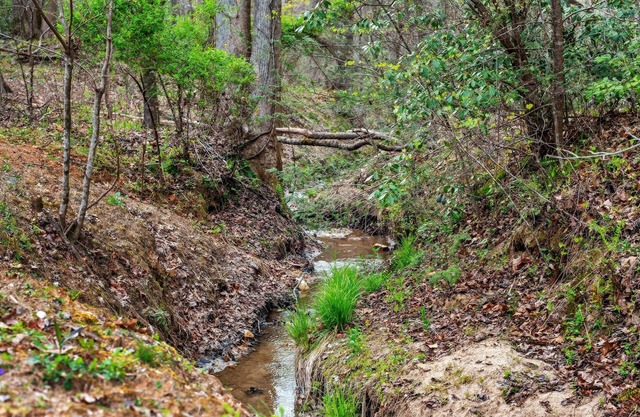 Gillford Cabin - Pet Friendly, Creek, Lake Access!